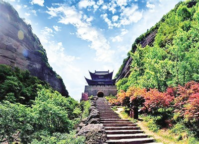 蜀道古柏光照千秋