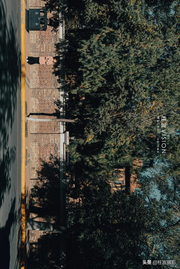 深秋在哪裡 深秋在哪裡