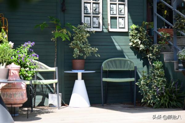 綠色背景牆的角落，聞著番木瓜花的香味賞月啦 | 園丁