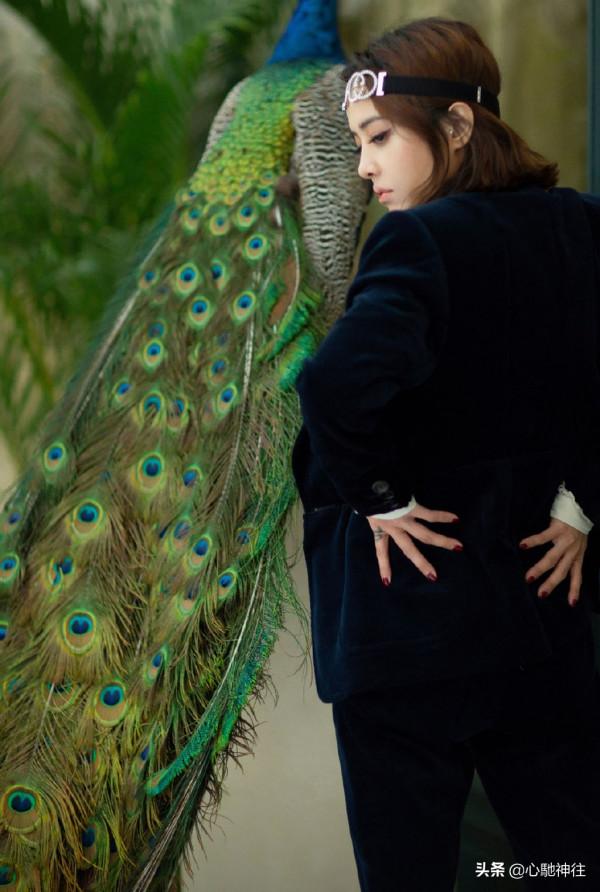 蔡依林真有少女感！身穿黑色絲絨西裝，又酷又美