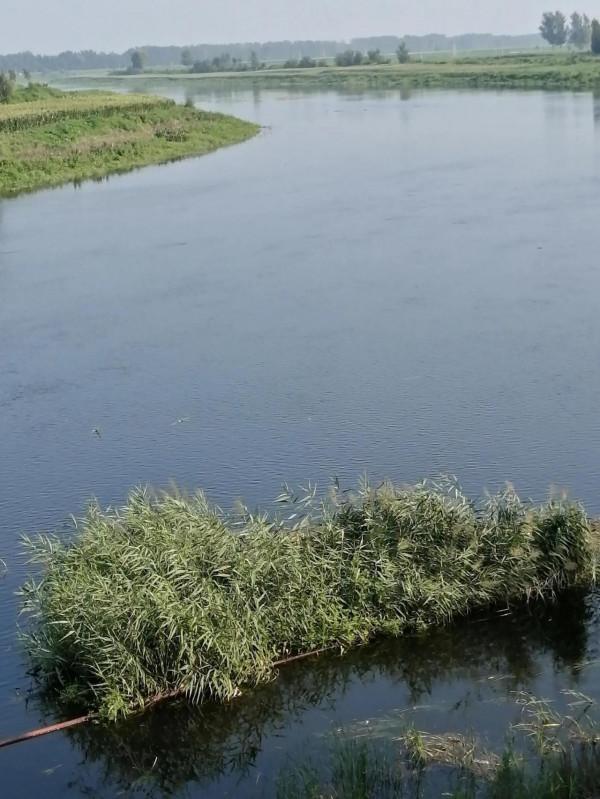 教學之道一一課堂切入點