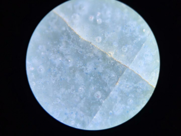 痕跡鑑定二 痕跡鑑定二