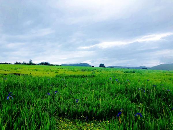 麗江小眾秘境指南｜林那谷：徒步、觀星、賞花新地標