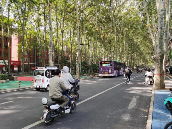 在洛陽的街頭走了走(真想弄幾個美國人來博物館裡教育教育) 在洛陽的街頭走了走(真想弄幾個美國人來博物館裡教育教育)