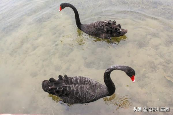 無濾鏡“素顏”新公園,值得帶孩子玩嗎? 無濾鏡“素顏”新公園,值得帶孩子玩嗎?