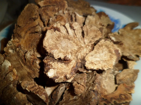 吃個頭,補下頭 吃個頭,補下頭