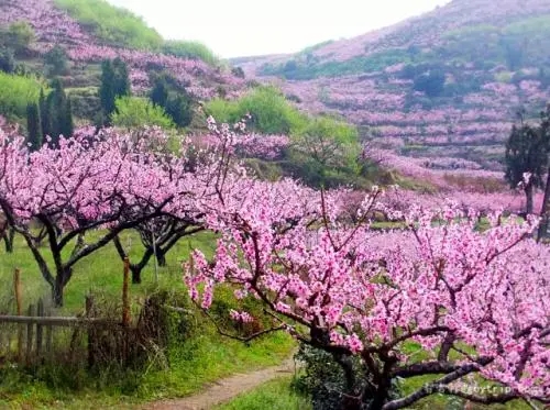 浙江十大冷門景點，人少景美好玩