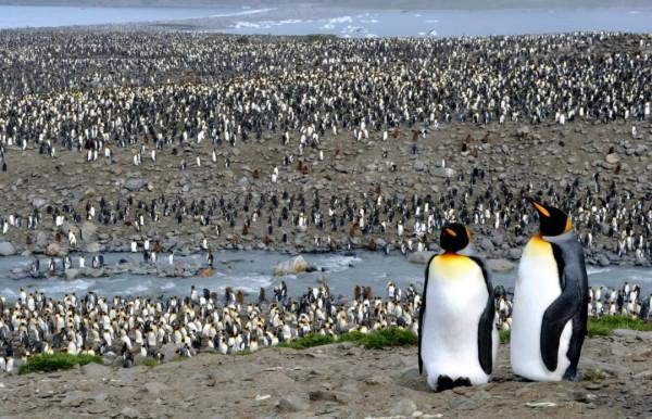 張炎龍:假日旅遊中的喧鬧與寂靜 張炎龍:假日旅遊中的喧鬧與寂靜