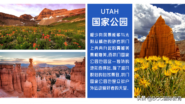 美國50個州的吃喝玩樂攻略請收好！留學生、遊客自駕遊跟團遊必看