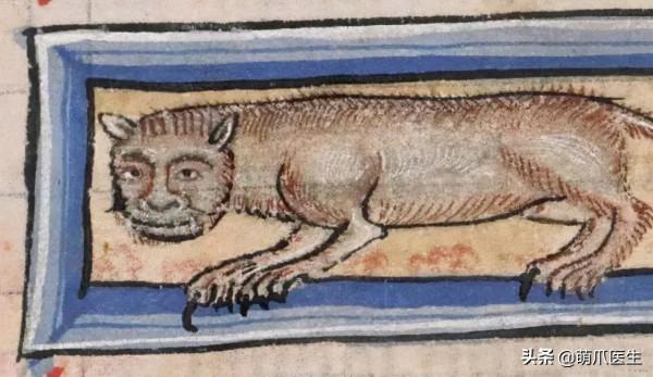 看了我太太太爺爺畫的貓後…網友:同一個物種 看了我太太太爺爺畫的貓後…網友:同一個物種