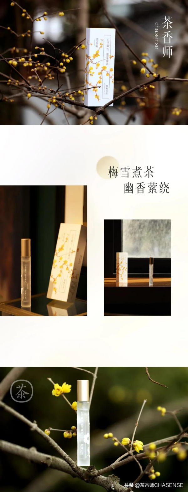 新品上新丨臘梅白茶香，凌寒綻放