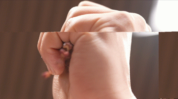 開工第一餐，吃它準沒錯！鮮香可口超下飯