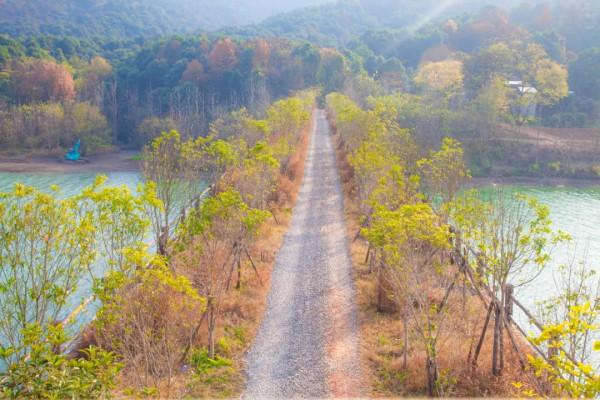 西瓜香瓜桃子枇杷獼猴桃，|| 是瓜果飄香的豔洲