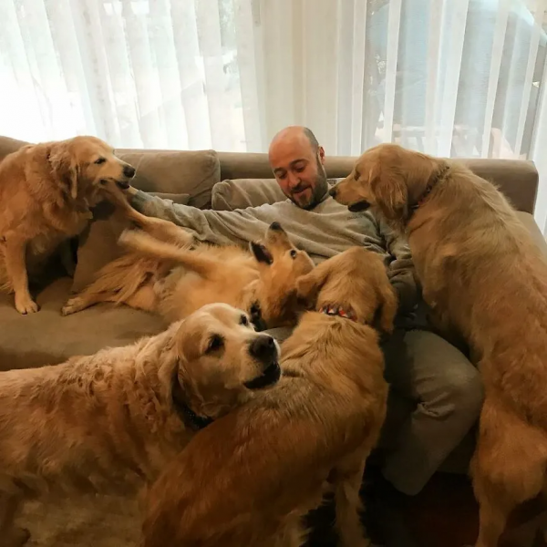 因為愛，他把農場變成了動物樂園，不僅有貓有狗，還有馬和海鷗