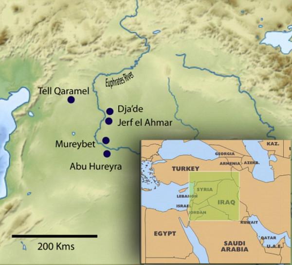 外國科學家認為:人類是冰河時期猛獁象的滅絕誘因 外國科學家認為:人類是冰河時期猛獁象的滅絕誘因