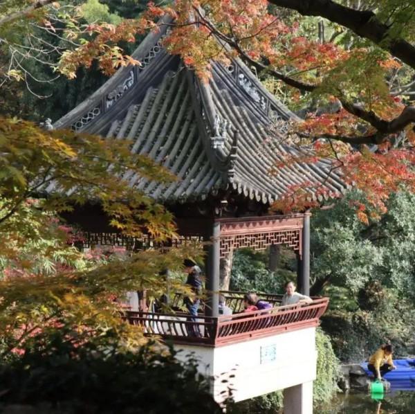 豐富多彩的浪漫“香”遇,正在青浦等你哦~跟著特色線路遊起來 豐富多彩的浪漫“香”遇,正在青浦等你哦~跟著特色線路遊起來