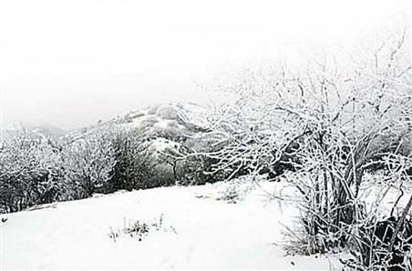 1999年，印巴老虎嶺戰鬥過程，真實呈現印度陸軍的戰鬥水平