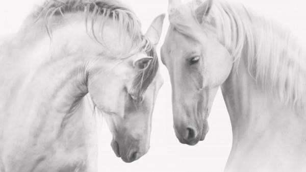 Vacation / 慵懶自由的小時光