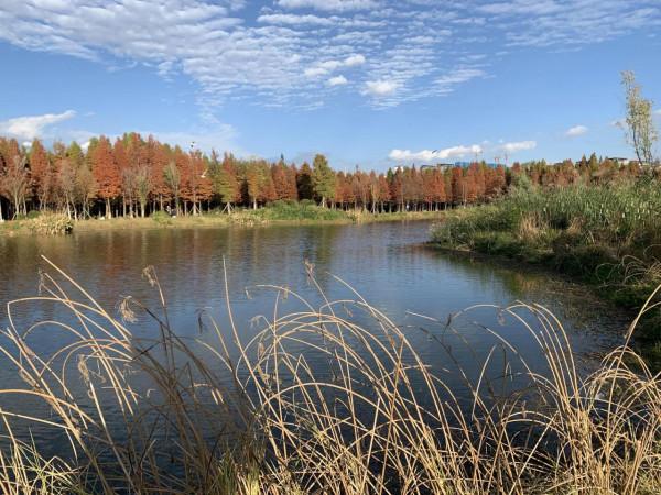 欣賞藍天白雲下的景色 欣賞藍天白雲下的景色