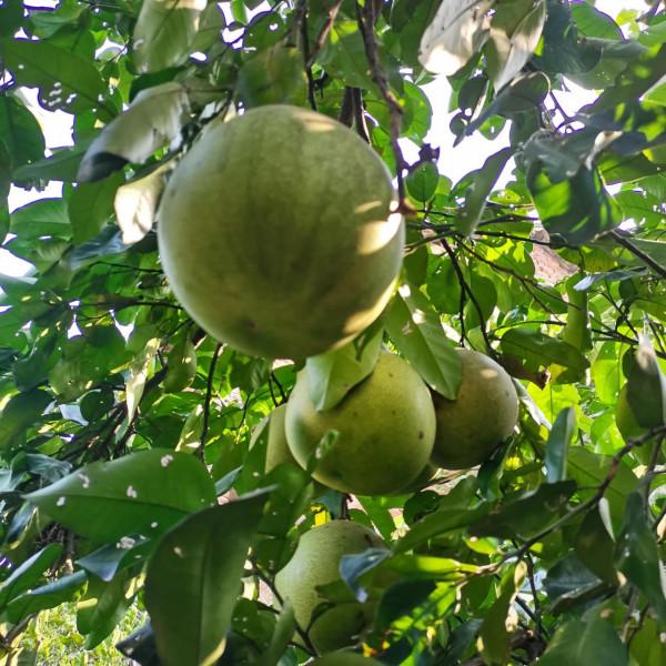 不要透支你和任何人的關係