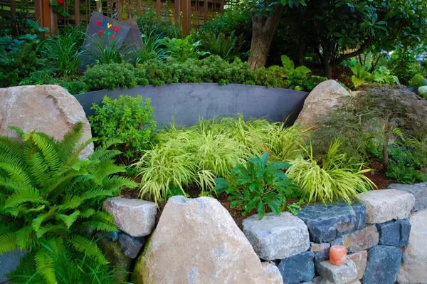 石頭縫裡這樣玩，它也可以成為庭院裡一道亮麗的景緻