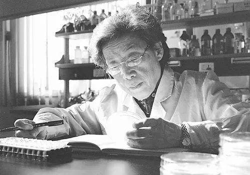 痛悼!湖南籍中國科學院院士陳文新逝世,今年已有26位兩院院士遠去… 痛悼!湖南籍中國科學院院士陳文新逝世,今年已有26位兩院院士遠去…