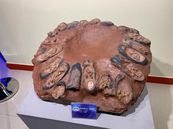 遊～山西地質博物館