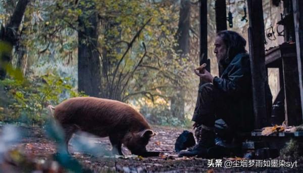 2021年度最佳表演25項