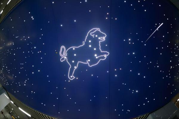 怪不得大家都“受不了”這樣的獅子座