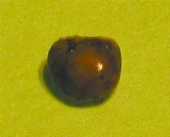 遼寧朝陽的古往今來 遼寧朝陽的古往今來