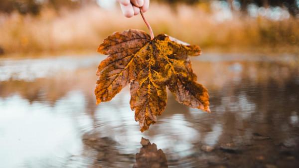 有一顆“玻璃心”的星座,容易感同身受,容易淚水長流 有一顆“玻璃心”的星座,容易感同身受,容易淚水長流