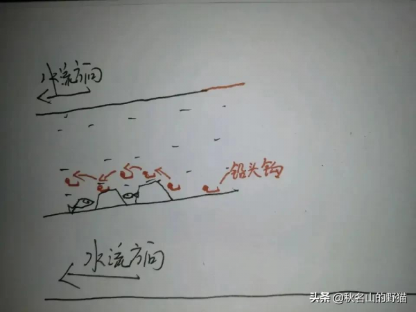 談談如何釣到河裡鱖魚 談談如何釣到河裡鱖魚