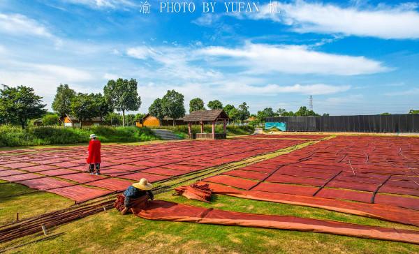 旅途中偶遇風光大片，瞭解卻是差點失傳的國家級非遺，非常了不起