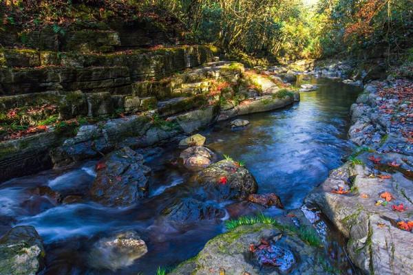 11月，看湖北，疊翠流金！