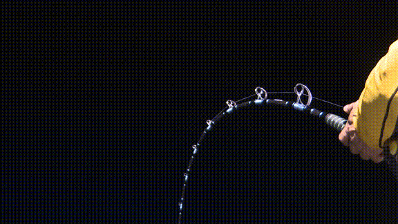 海上高爾夫：我帶了20個人出國釣了趟魚，其中19個就此上癮