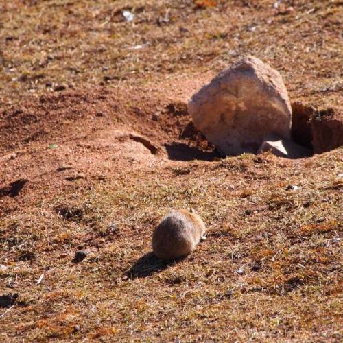 3首篡改古人名作的古詩詞，妙趣橫生，千年後依然味道十足
