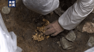 來!一起見證三星堆新文物玉鑿、銅尊等提取瞬間 來!一起見證三星堆新文物玉鑿、銅尊等提取瞬間