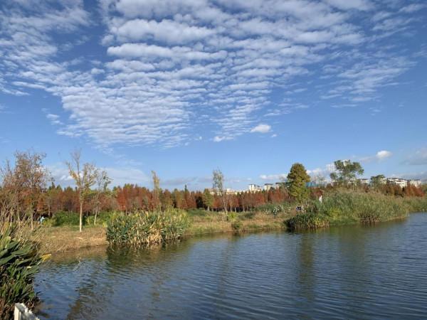 欣賞藍天白雲下的景色 欣賞藍天白雲下的景色