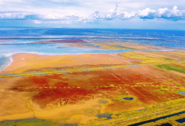 深秋，這裡是條子泥