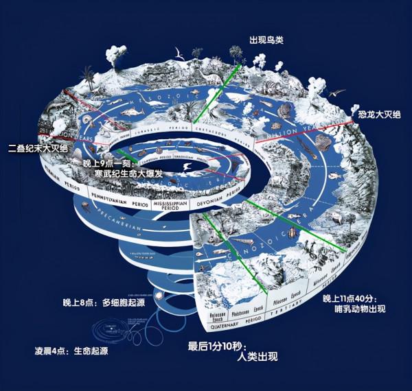 進化論的終極BUG：烏龜，如何成為科學家們的噩夢？