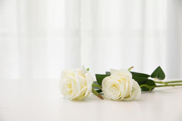 女人這一生,最高階的活法是:取悅自己 女人這一生,最高階的活法是:取悅自己