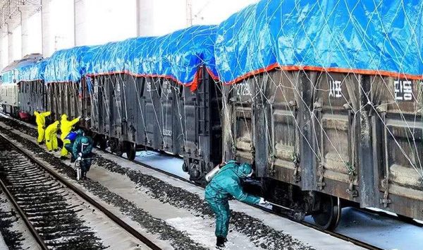 全球4個新冠“零”感染國家，他們是怎麼做到的？有哪些共同點？