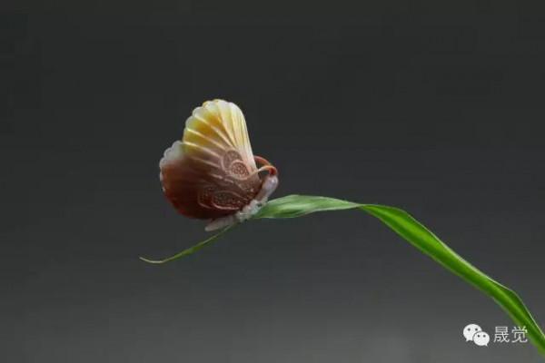 中國第五屆“神工獎”