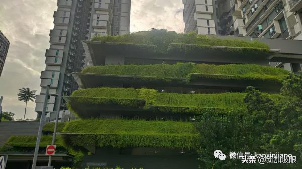 跟林俊杰同框的新加坡網紅組屋長啥樣? 跟林俊杰同框的新加坡網紅組屋長啥樣?