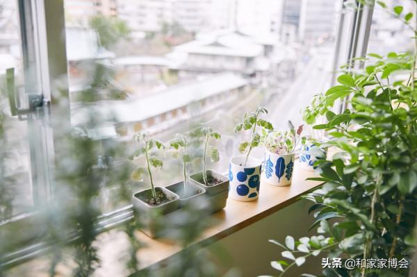 “田”字形日式住宅，學會適當留白，享受簡潔愜意的生活