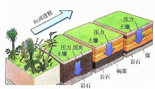 南極冰川下有5000億噸煤,厚度100多米,地球早期有這麼多植物? 南極冰川下有5000億噸煤,厚度100多米,地球早期有這麼多植物?