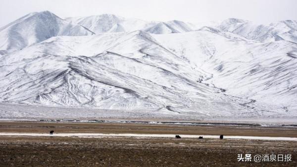 新春佳節哈爾騰生態美