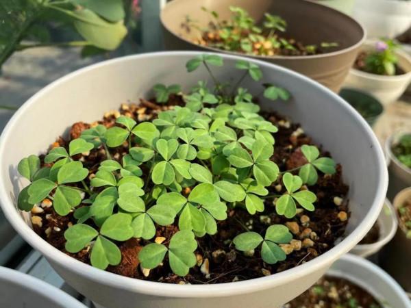 閒暇之餘，簡單，陽光，陪伴，成長......