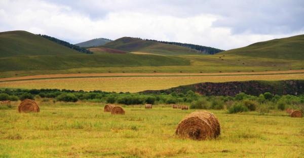 國慶7天出遊5.15億人次，花了3800多億，去內蒙旅遊勝過其他地方