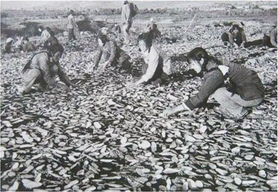 打破“共產黨是軍事100分、政治80分、財經0分”謬論 打破“共產黨是軍事100分、政治80分、財經0分”謬論